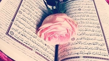 سورة آل عمران والشمس والكوثر بصوت القارئ محمود شحات  شوفوو الوصف 👇