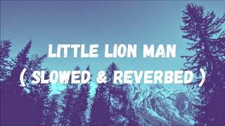 Little Lion Man ( slowed & reverbed )