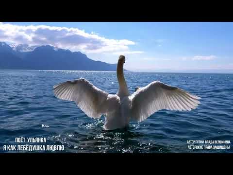 Я как лебёдушка