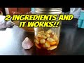 How to make Fermented Honey Garlic - Immune System Booster