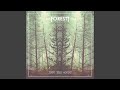 FORESTT Accords