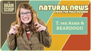 T. rex Arms & BEARDOGS! | Natural News from The Field Museum | Ep. 6