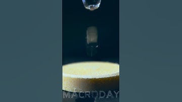 MacroShow #4 #macro #macrovideo #closeup #asmr #supermacro #satisfying #macrophotography