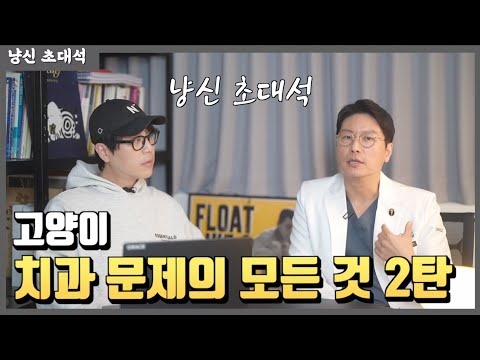 냥신 초대석 <strong>고양이</strong> 치과 문제의 <strong>모든</strong> <strong>것</strong> 두 번째 이야기
