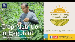 Crop Nutrition in Eggplant