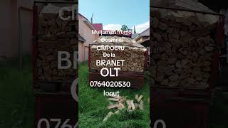 Lemne de foc DOBROSLOVENI 0764020530 Ionuț