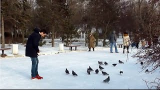 Таганрог. Приморский парк 1 января 2016 года