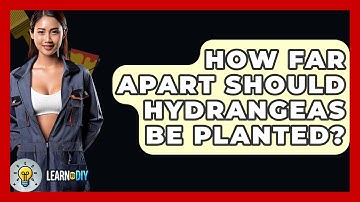How Far Apart Should Hydrangeas Be Planted? - LearnToDIY360.com