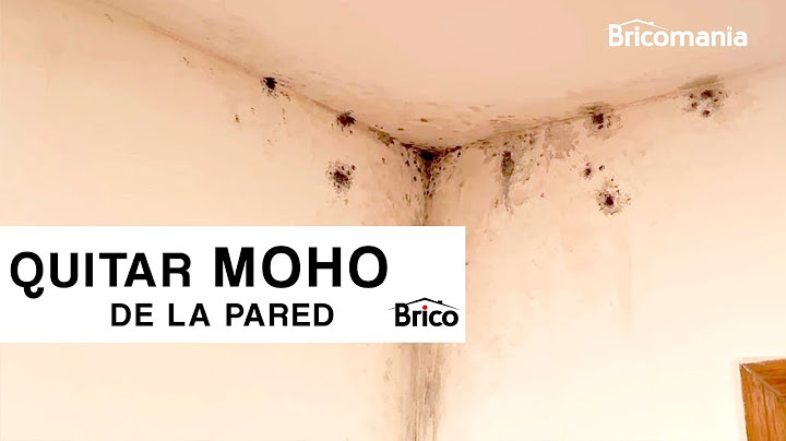 Cómo QUITAR el MOHO de las paredes 🧽 💪 ¡Eliminarlo definitivamente en MINUTOS! 🏠 Bricomania