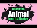 Animal Shadow Guessing Game Quiz