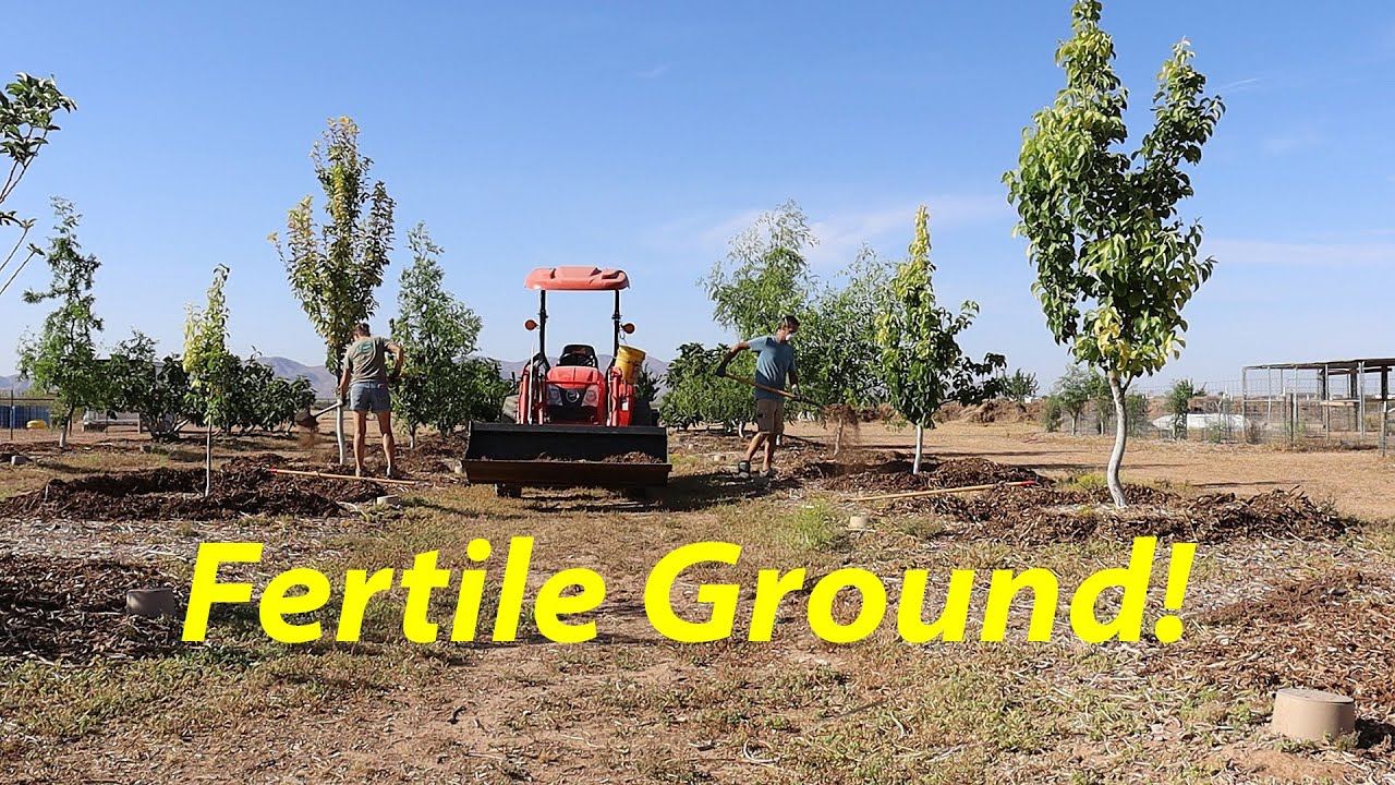 When & How We Fertilize | Winston Gets a New Home 🐷