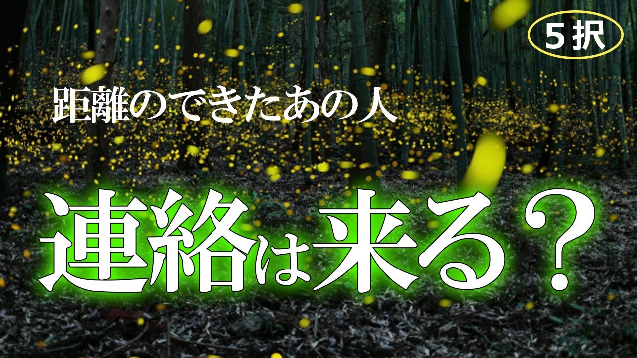 忖度なし【5択】疎遠/距離のできたあの人から連絡は来る？ 自分から連絡したらどうなる？ 原因と対策もお伝えします