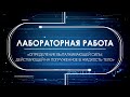 Определение выталкивающей силы, действующей на погруженное в жидкость тело (7 класс)