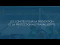 Film sur les comits pour la prvention et la protection au travail spf emploi  belgique  2021
