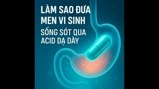 Hành Trình Chữa Hội Chứng Ruột Kích Thích Ngày 3 Cách Men Vi Sinh Vượt Qua Acid Dạ Dày