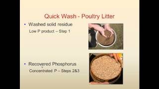 Process for recovery of phosphorus (P) from solid manure