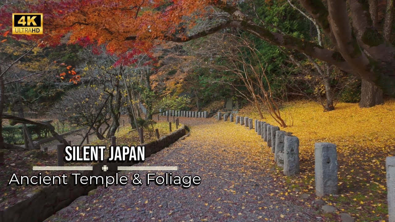 Walking Narita Old Town at Sunrise: Empty Streets & Temple Sounds