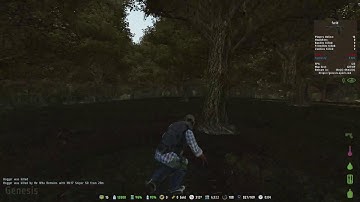 ARMA 2 DAYZ
