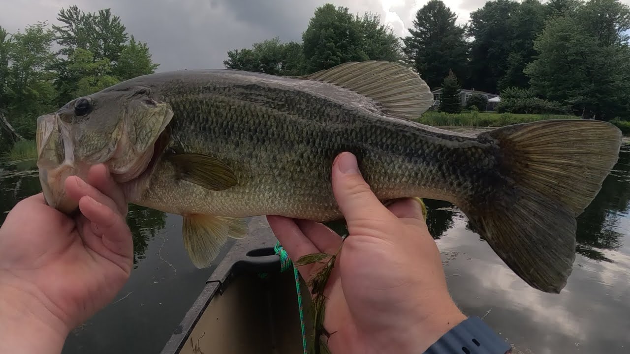Bass fishing on the canoe