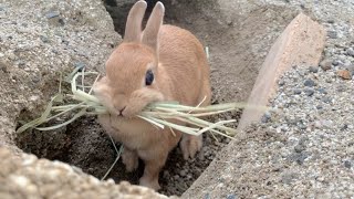 Mi1cne7zdr7zm Mi1cne7zdr7zm