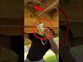 He Attacked Deadly Bees😱 #shortvideo