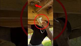 He Attacked Deadly Bees😱 #shortvideo