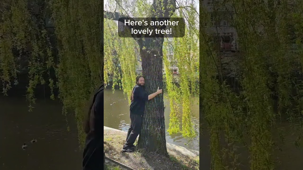 Earth Appreciation Festival 🌖 Recollection 