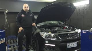 VF Maloo By AutoWerks....