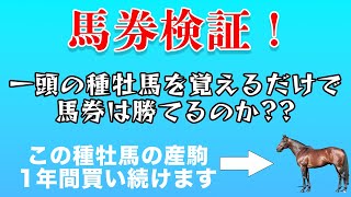 【馬券検証】1年間デクラレーションオブウォー産駒生活‼️芝でベタ買いすれば本当に儲かるのか⁉️