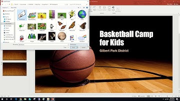 PowerPoint Chapter 2