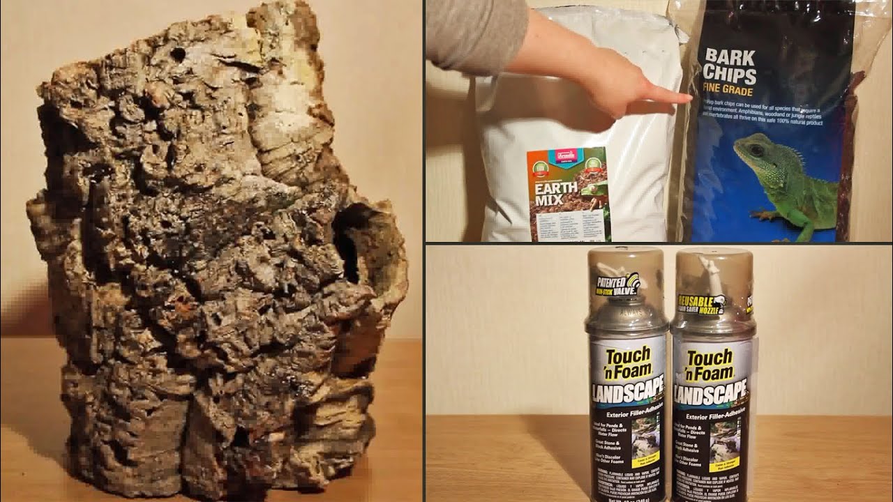 Equipment Haul | Natural Terrarium Build