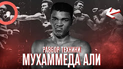 Легенда бокса