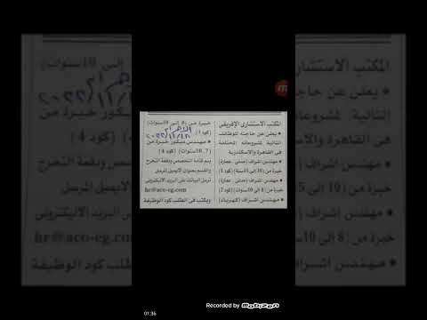 وظائف محافظة الإسكندرية وظائف شركة كابو ل الصوامع و التخزين و المكتب الإستشارى الافريقي اعلانات جريد