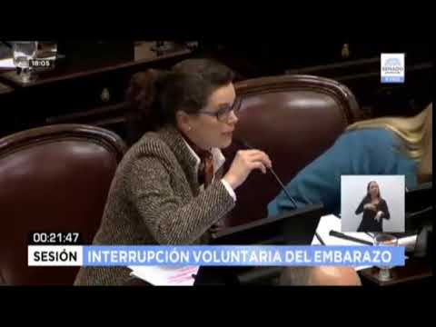 Sesión Senado pro aborto legal: Michetti, cometió un nuevo exabrupto