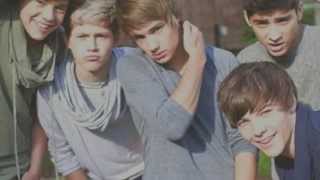 One Direction Live while We`re young (dave Aude Remix)