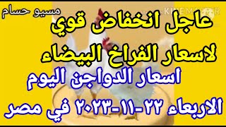 اسعار الفراخ البيضاء اليوم اسعار الدواجن اليوم الاربعاء ٢٢-١١-٢٠٢٣ في مصر