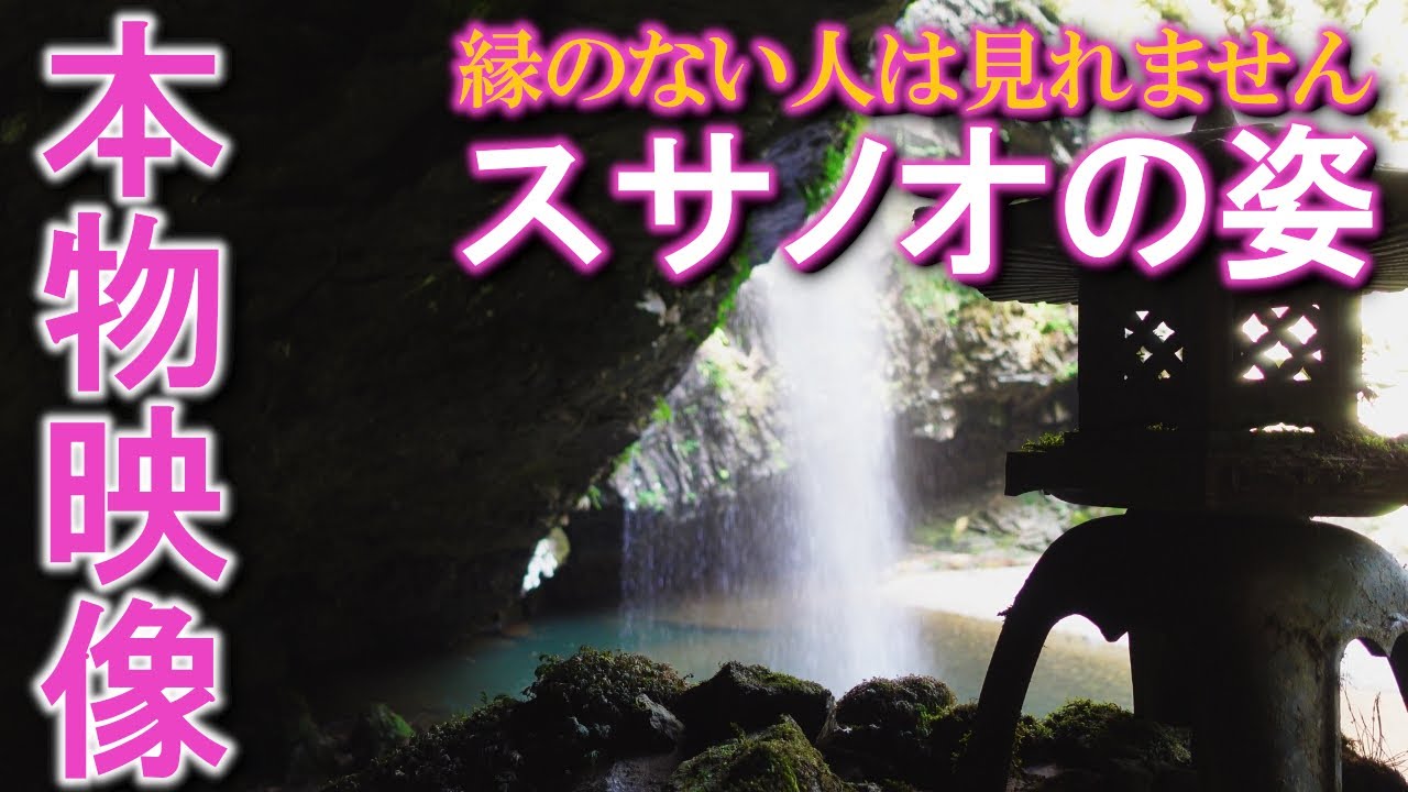 ⚠️神回※スサノオ様、精霊が現れる奇跡の映像。お姿が見えたら奇跡が起こります。もし逃したら二度とありません｜須佐神社遠隔参拝331