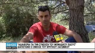 ΚΡΗΤΙΚΟΣ ΛΑΓΩΝΙΚΟΣ ΕΥΦΥΗΣ ΚΑΙ ΠΙΣΤΟΣ