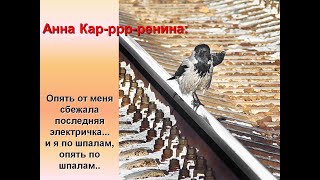 Вороны (плейлист "Кошки, белки и вороны.", музыка "Последняя электричка")