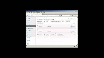 Wordpress Tutorial: How to Delete Comments Inside Your Wordpress Trash Folder