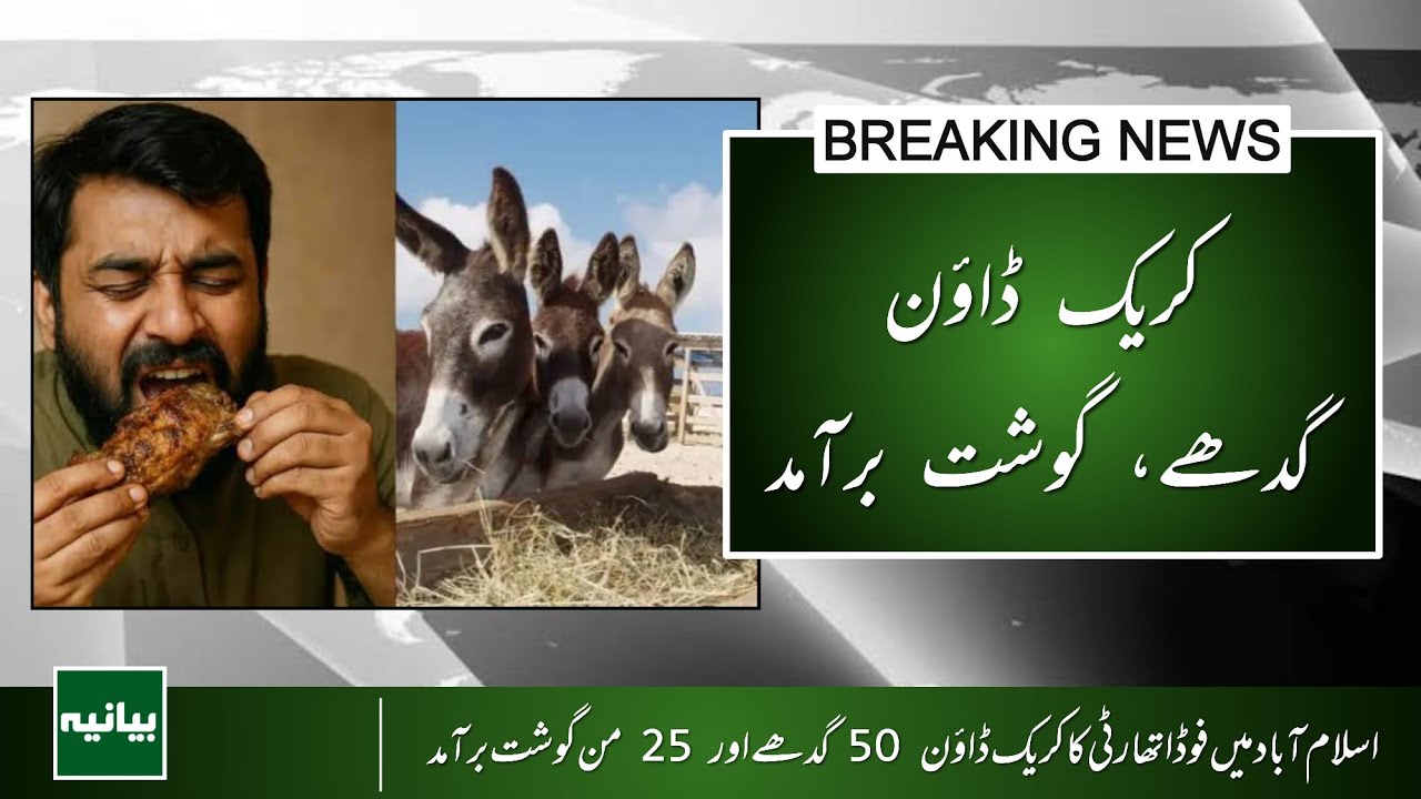 Food Authority Crackdown in Islamabad | 50 Donkeys & 25 Maunds of Meat Recovered | Breaking News