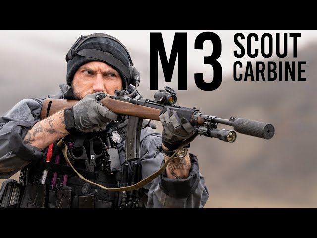 The Modern M1 Carbine Might Be The Perfect Civilian PDW - YouTube