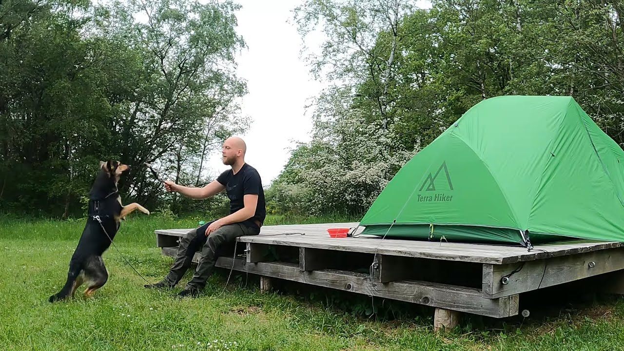 Solo Overnighter mit Hund im Nationalpark Eifel