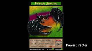 Weird N Wild Creatures J Paul Style Season 2 Episode 45 Emperor Scorpion