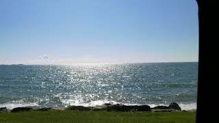 Tawas..... food, fun, and seagulls.