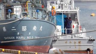 Sea Shepherd's　シー・シェパード船長が逮捕