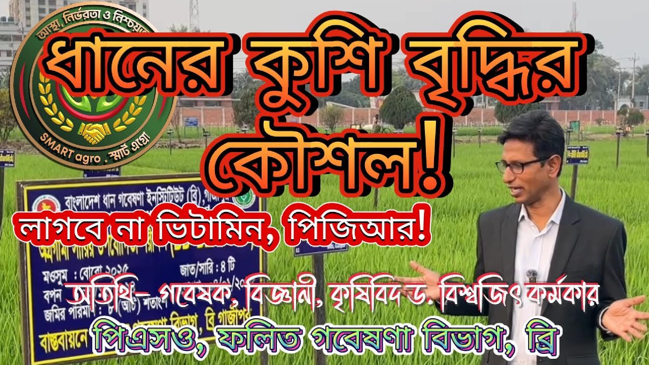 ধানের কুশি বৃদ্ধির কৌশল!  #smartagroseeds