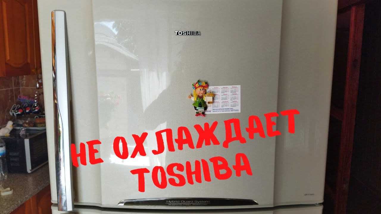 Ремонт холодильников Toshiba. Холодильник шумит. Холодильник Toshiba gr-x56 fr. Испаритель холодильника Toshiba gr-x56fr.