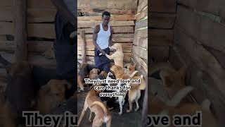 Be kind and donates any for shelter doggies #dogrescuer #goshelter #thebigpayback #wegive
