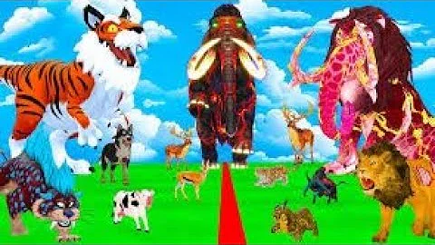 5 Giant Mammoth Elephant Cow Vs GiantWild Boar Vs 5 Giant Lion Tiger Wolf Cub Saved By Woolly Mammot